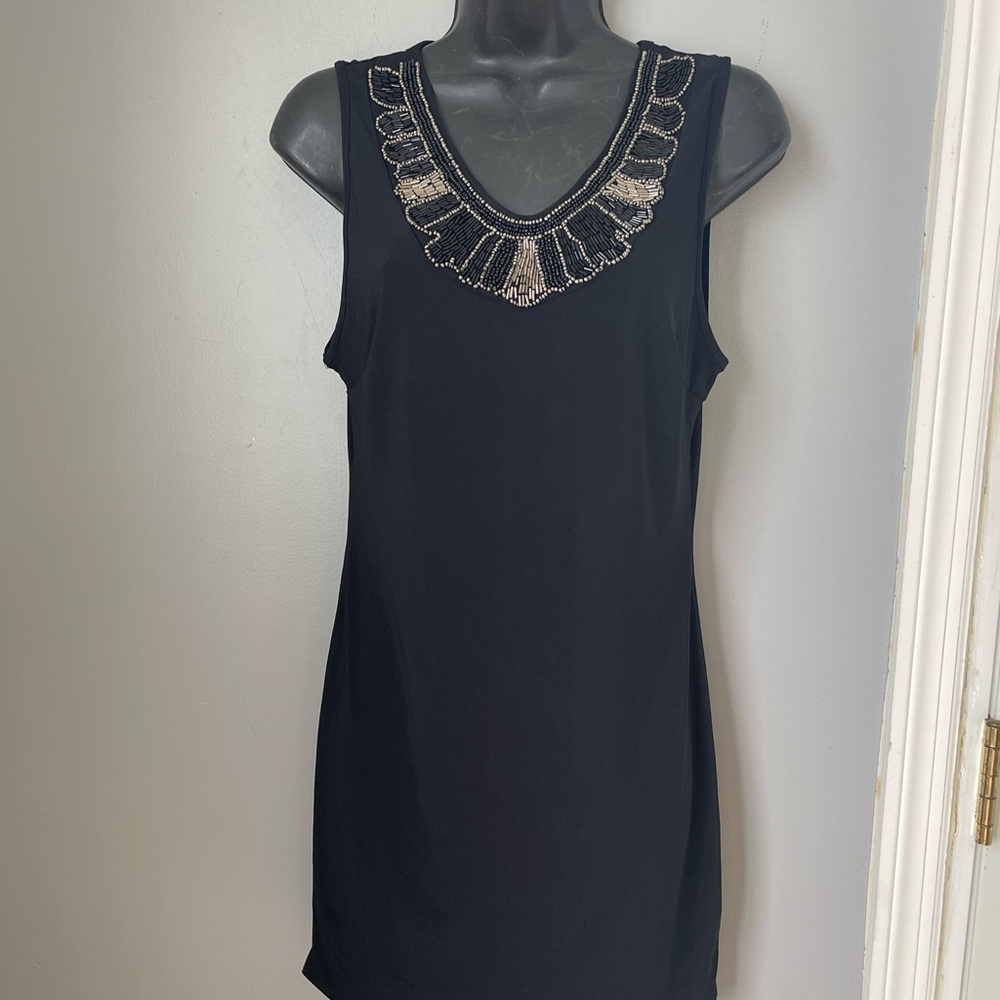 Poetry Black Mini Dress with Silver Accents